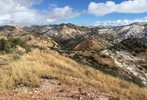 photo thumbnail #11