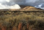 photo thumbnail #9