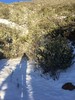 photo thumbnail #14