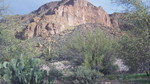 photo thumbnail #12