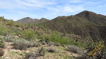 photo thumbnail #11