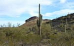 photo thumbnail #8
