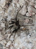 photo thumbnail #14