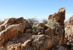photo thumbnail #7