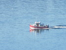 photo thumbnail #7