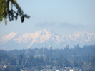 photo thumbnail #11