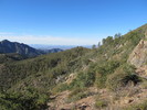photo thumbnail #1