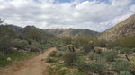 photo thumbnail #8