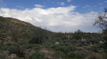 photo thumbnail #14