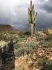 photo thumbnail #1