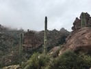 photo thumbnail #7
