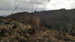 photo thumbnail #9