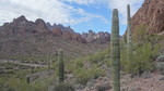 photo thumbnail #1