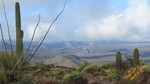 photo thumbnail #14