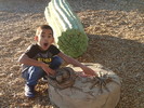photo thumbnail #5