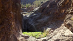 photo thumbnail #10