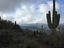 photo thumbnail #12