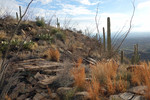 photo thumbnail #6