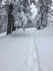 photo thumbnail #11