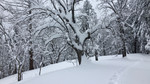photo thumbnail #12