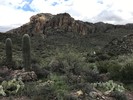 photo thumbnail #10