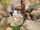 photo thumbnail #12