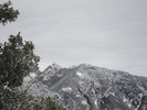 photo thumbnail #15