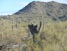 photo thumbnail #1