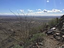 photo thumbnail #7