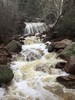 photo thumbnail #13