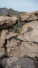 photo thumbnail #15