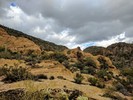 photo thumbnail #13