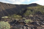 photo thumbnail #10