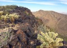 photo thumbnail #13