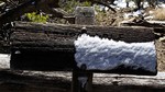 photo thumbnail #5