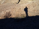 photo thumbnail #14