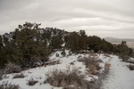 photo thumbnail #7
