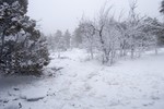 photo thumbnail #9