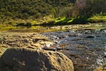 photo thumbnail #7