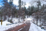 photo thumbnail #5