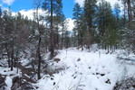 photo thumbnail #8