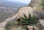 photo thumbnail #6