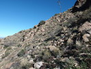 photo thumbnail #11