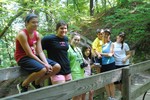 photo thumbnail #2