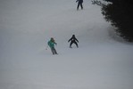 photo thumbnail #7