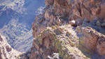 photo thumbnail #10