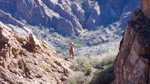 photo thumbnail #12
