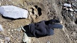 photo thumbnail #14