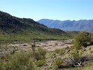 photo thumbnail #5
