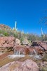 photo thumbnail #15